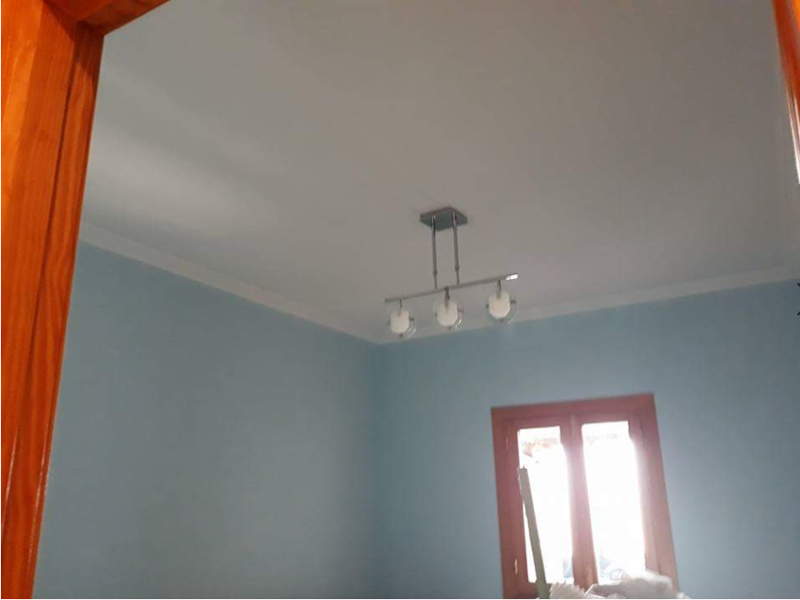 Color 501 Pintura y Decoraci&oacute;n 38