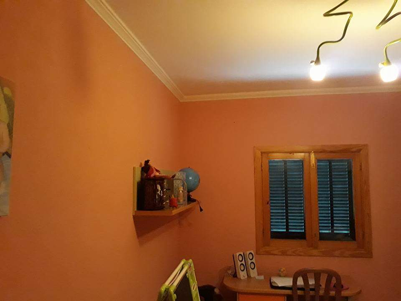 Color 501 Pintura y Decoraci&oacute;n 14