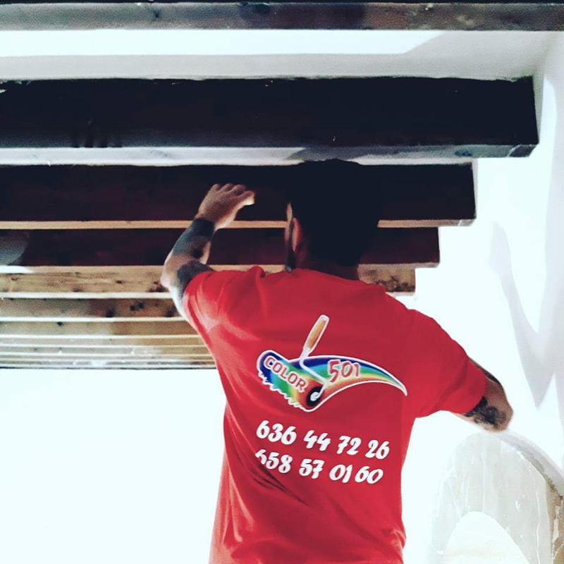 Color 501 Pintura y Decoraci&oacute;n 6