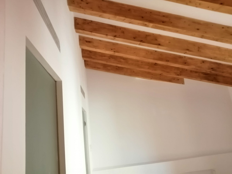 Color 501 Pintura y Decoraci&oacute;n 41