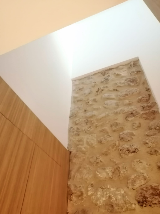 Color 501 Pintura y Decoraci&oacute;n 62