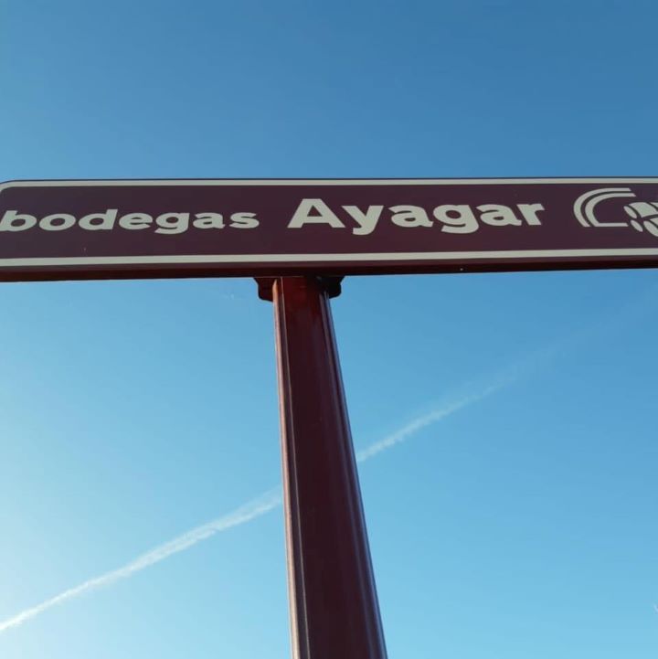 Bodegas Ayagar 17