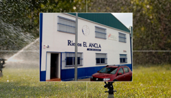 Galería de imágenes