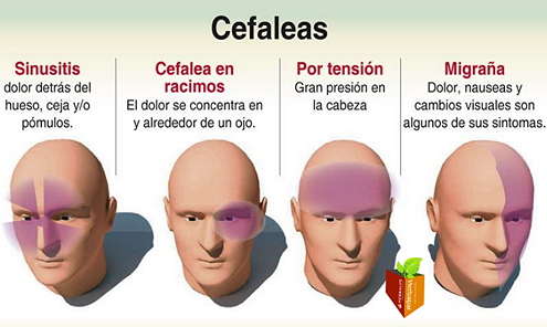 Clinica del Dolor Murcia 7