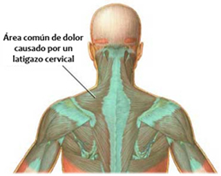 Clinica del Dolor Murcia 8