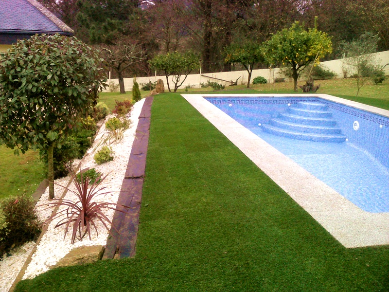 P&iacute;ntega Xard&iacute;ns 2