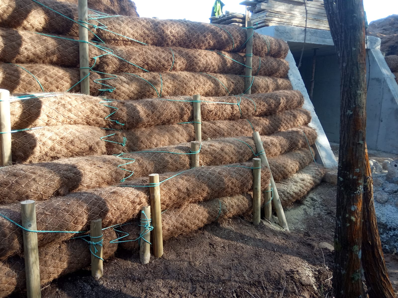 P&iacute;ntega Xard&iacute;ns 13