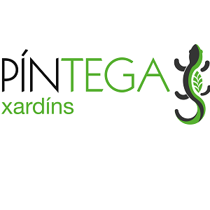 P&iacute;ntega Xard&iacute;ns 8