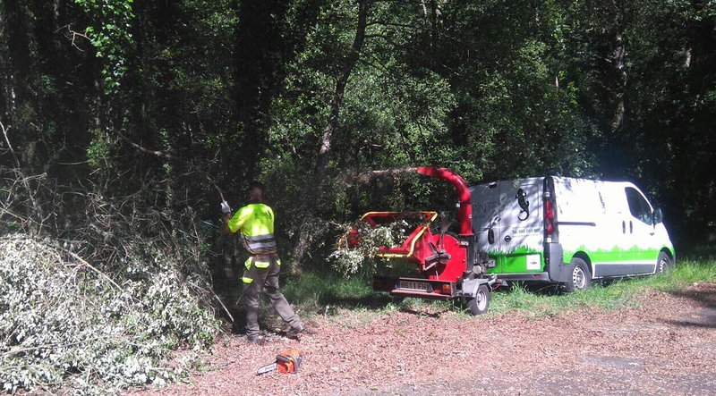 P&iacute;ntega Xard&iacute;ns 7