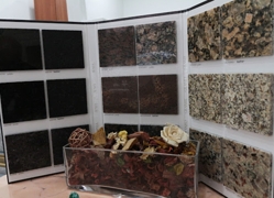 Galería de imágenes