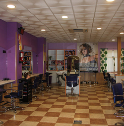 Galería de imágenes