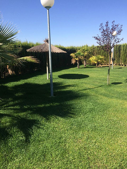 Galería de imágenes