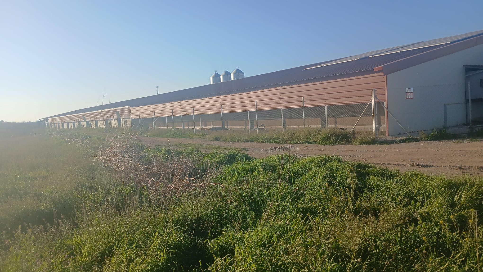 Imagen de Granja Oliveras Piulats Sl