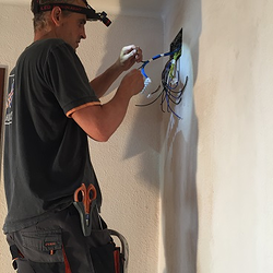 Galería de imágenes