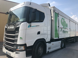 Galería de imágenes