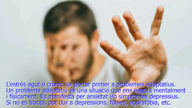 Psiquiatr&iacute;a Dr. Peris 5