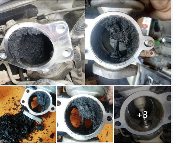 Galería de imágenes