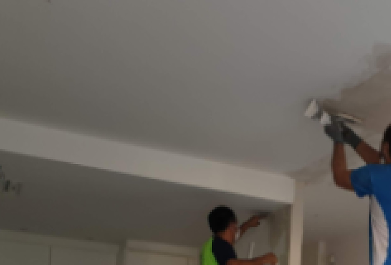 Mundo Multiservicios 5