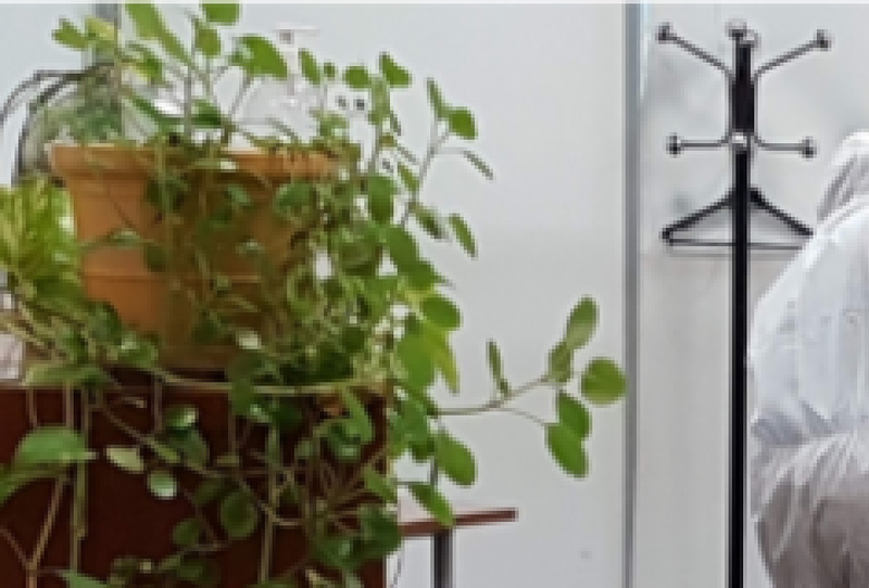 Mundo Multiservicios O Porriño