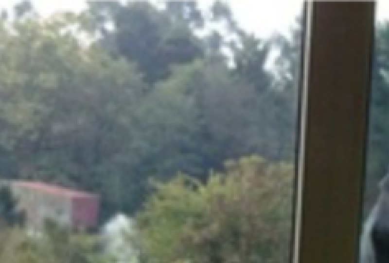 Mundo Multiservicios 2