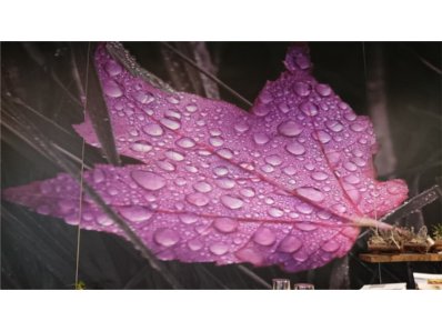 Eth Jardinet FLORISTERIAS