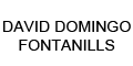 David Domingo Fontanills
