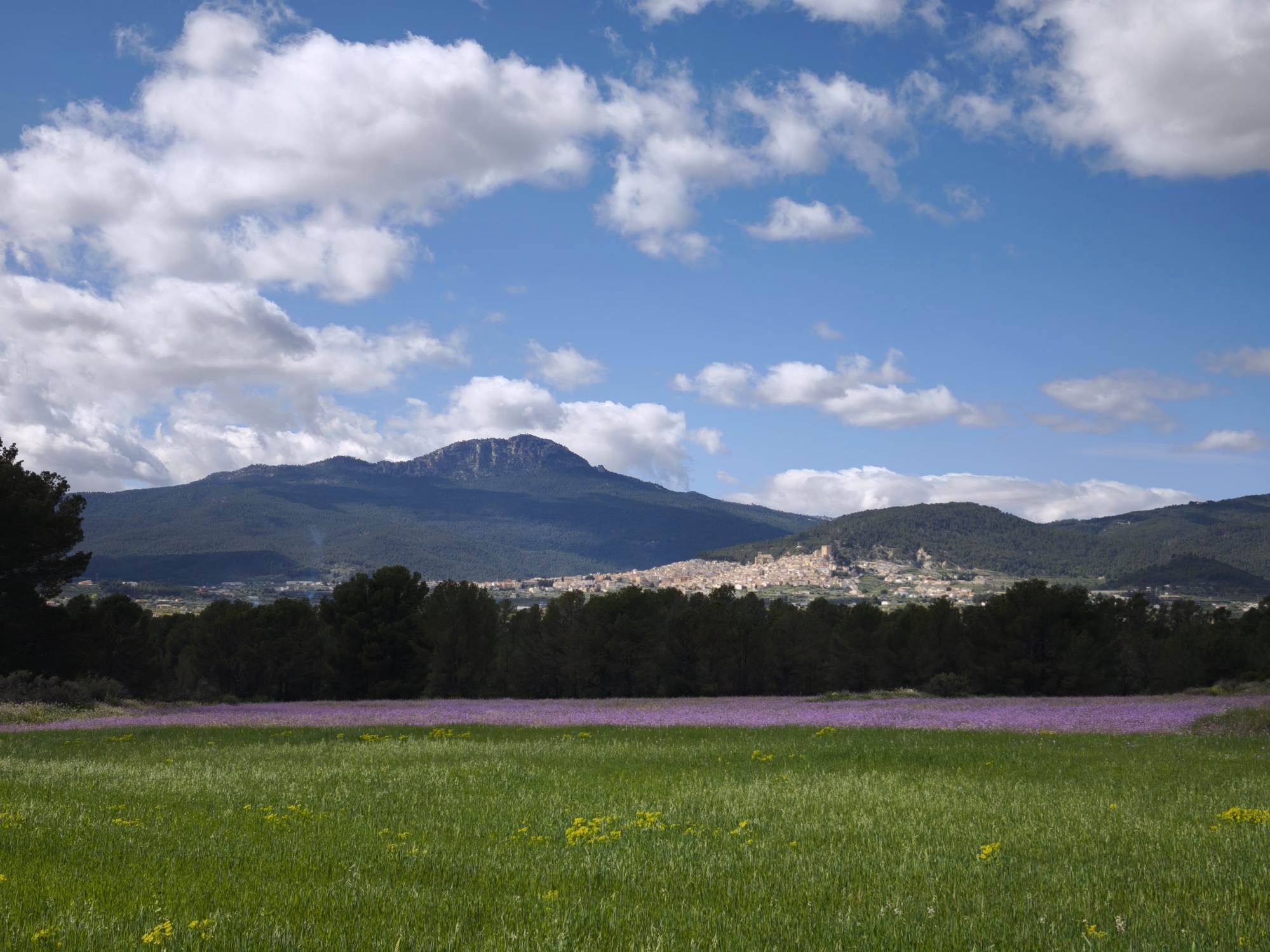 Galería de imágenes