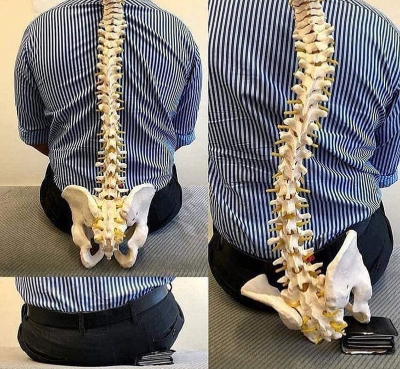 Fisioterapeuta Valencia 12