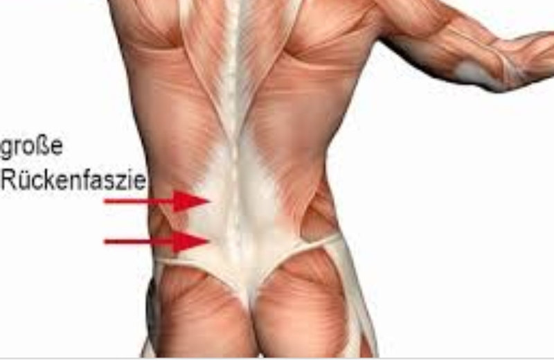 Fisioterapeuta Valencia 7