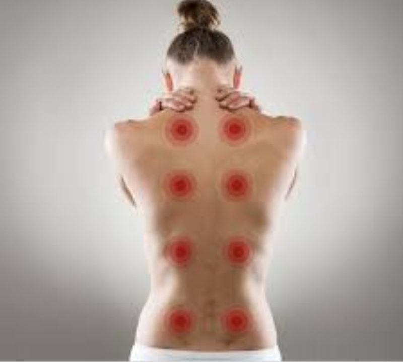 Fisioterapeuta Valencia 4