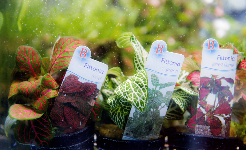 Comercial Veterinaria 3