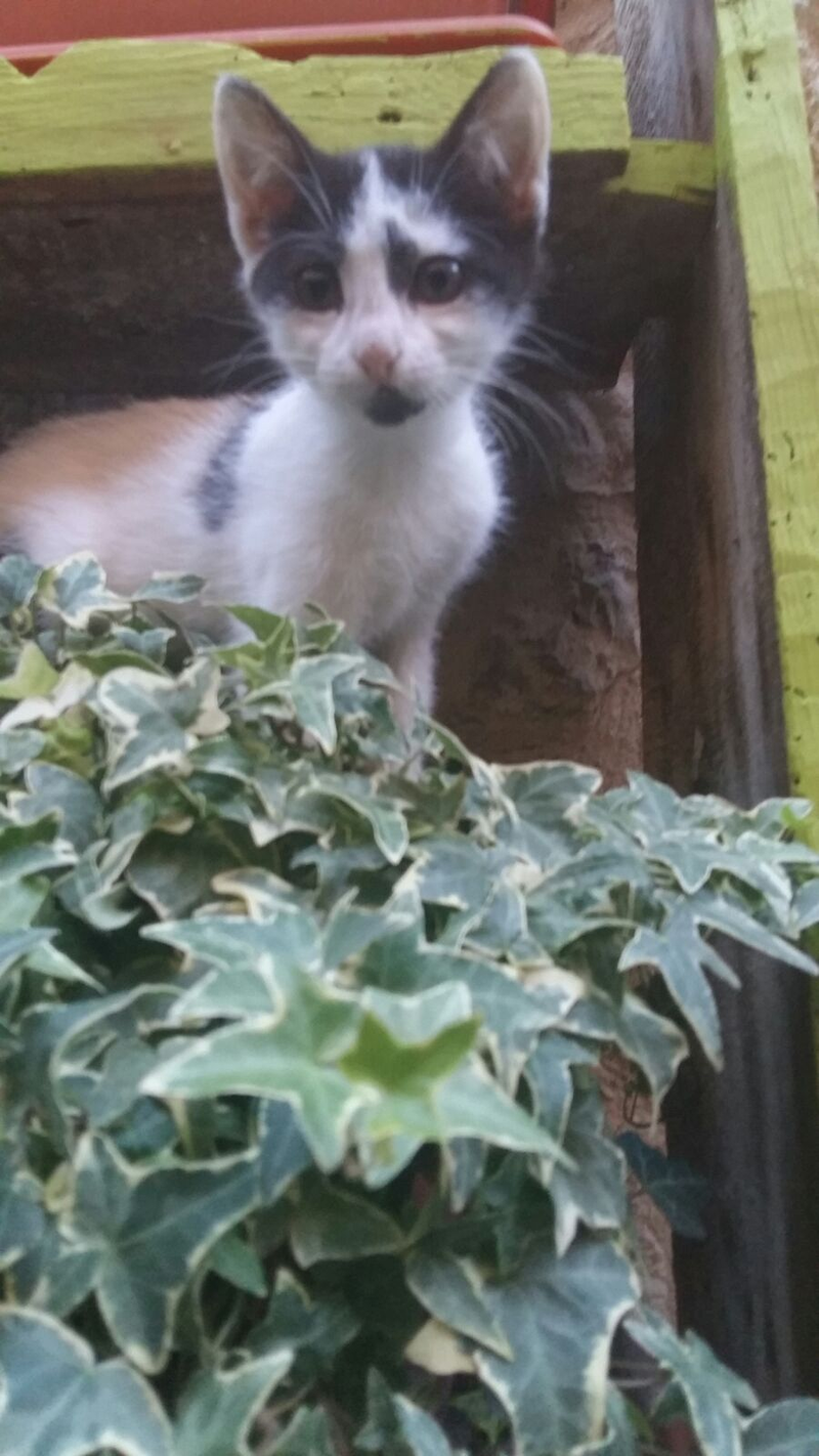 Casa Rural Calle Real 24