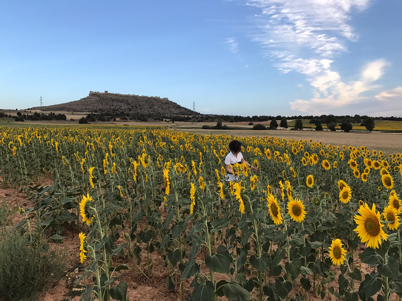 Casa Rural Calle Real 31