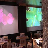 Galería de imágenes