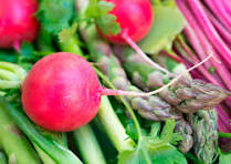 Frutas Javier Calonge Jimenez 8