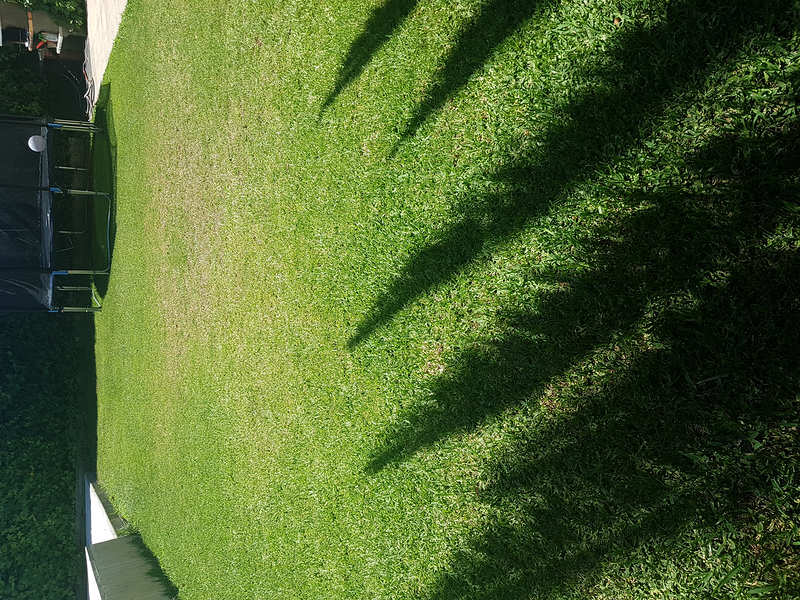 Jardineria Evelio Cáceres