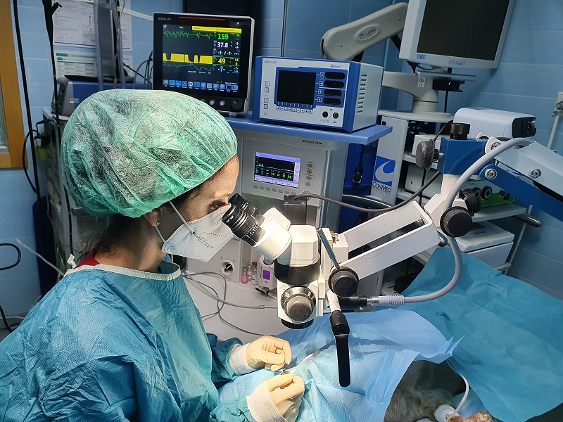 Clinica Veterinaria el Parque 22