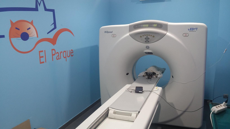 Clinica Veterinaria el Parque VETERINARIOS