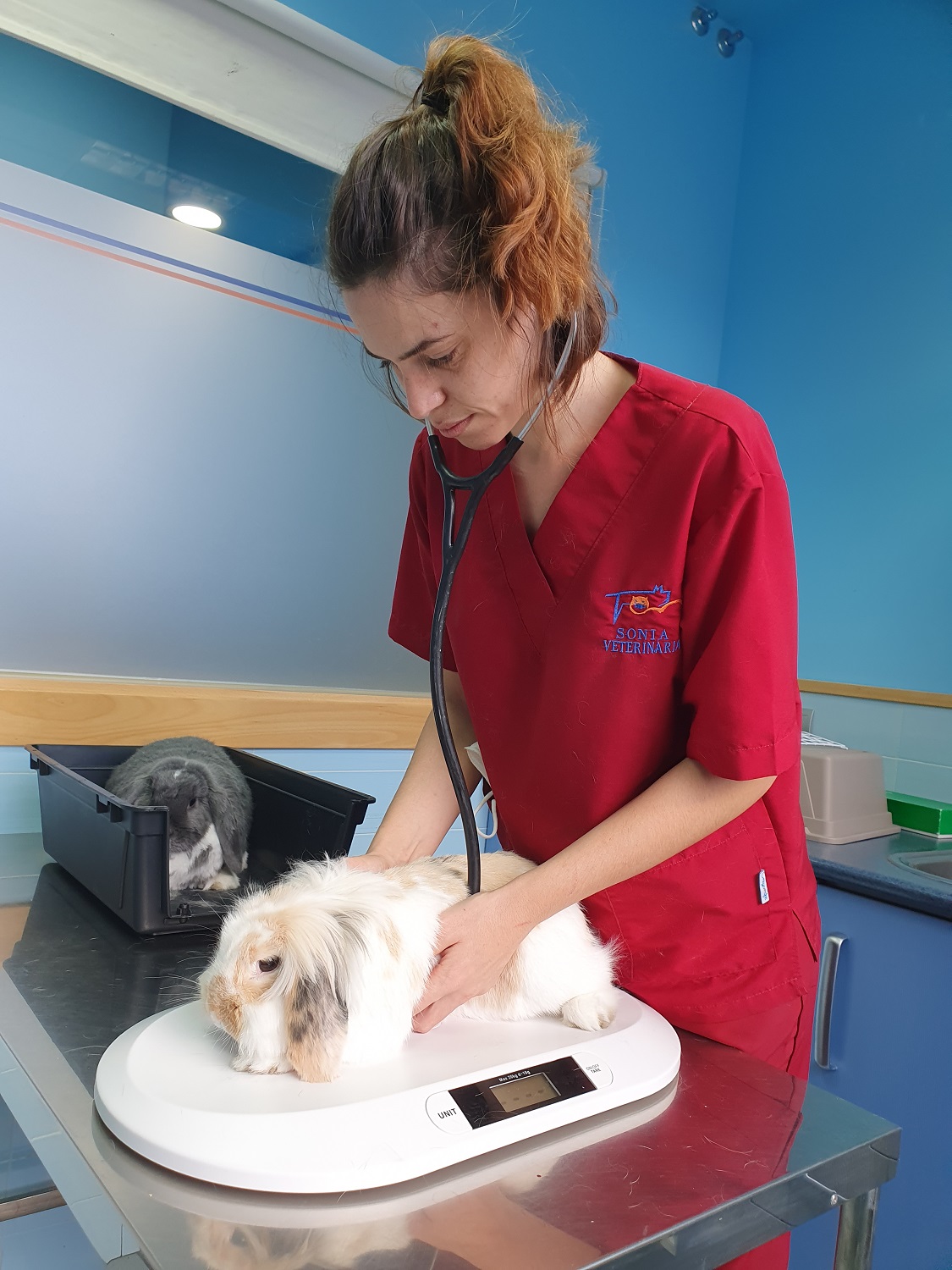 Clinica Veterinaria el Parque 3