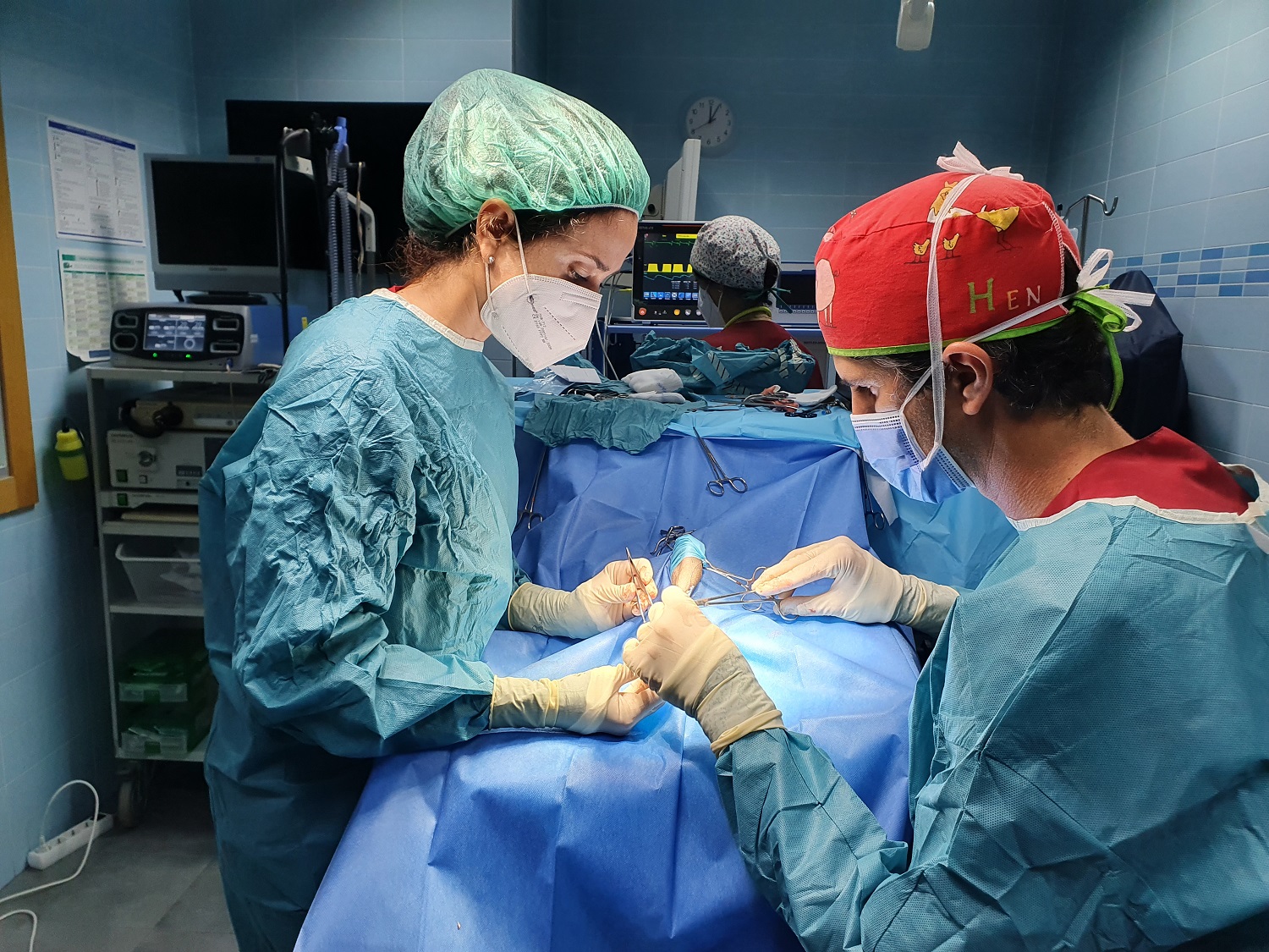 Clinica Veterinaria el Parque 7