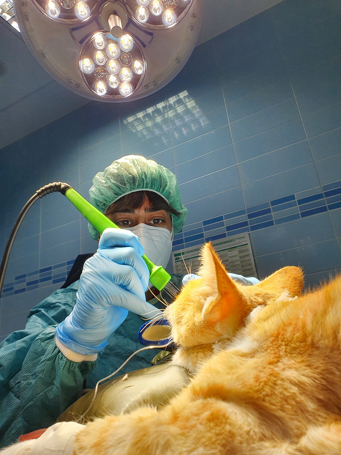 Clinica Veterinaria el Parque 11