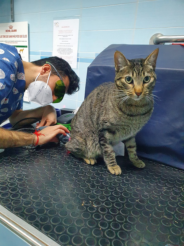 Clinica Veterinaria el Parque 16