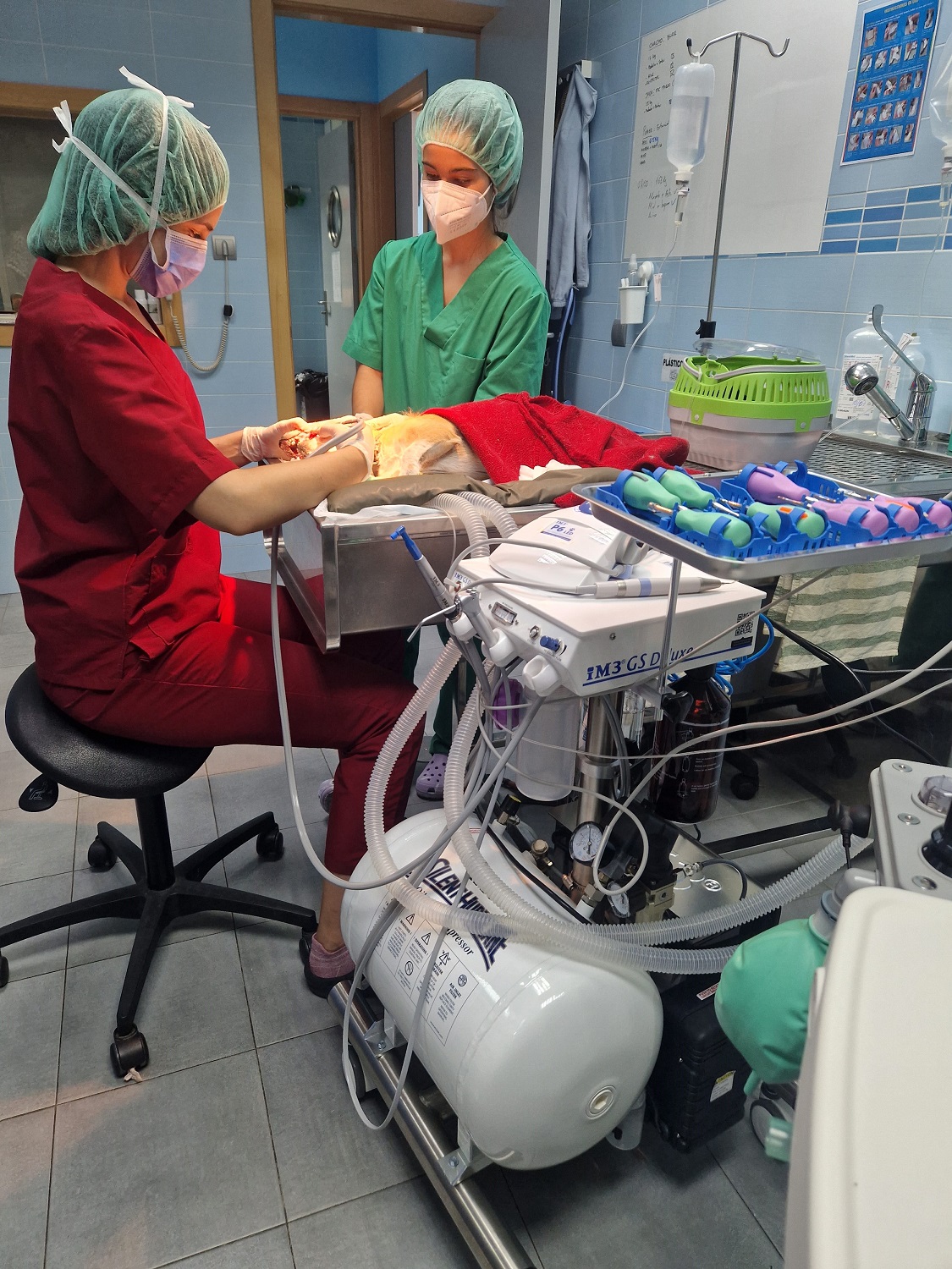 Clinica Veterinaria el Parque 12