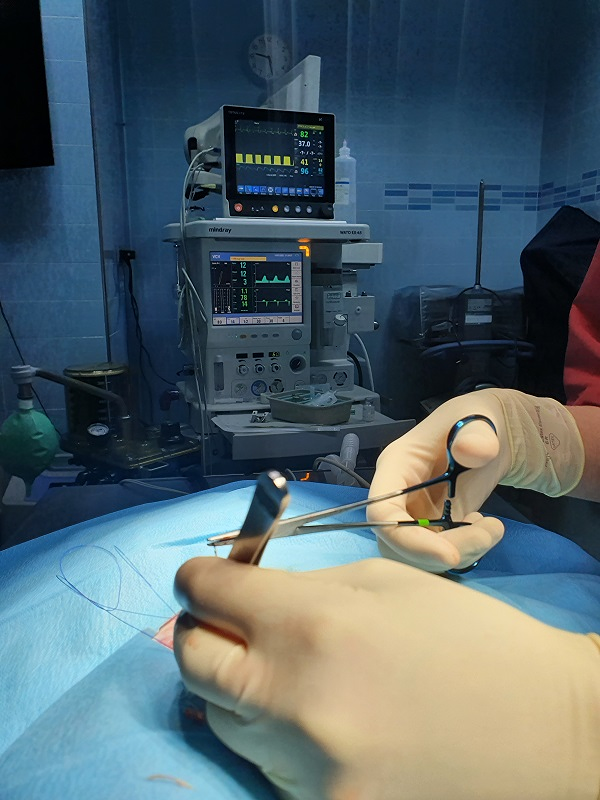 Clinica Veterinaria el Parque 23