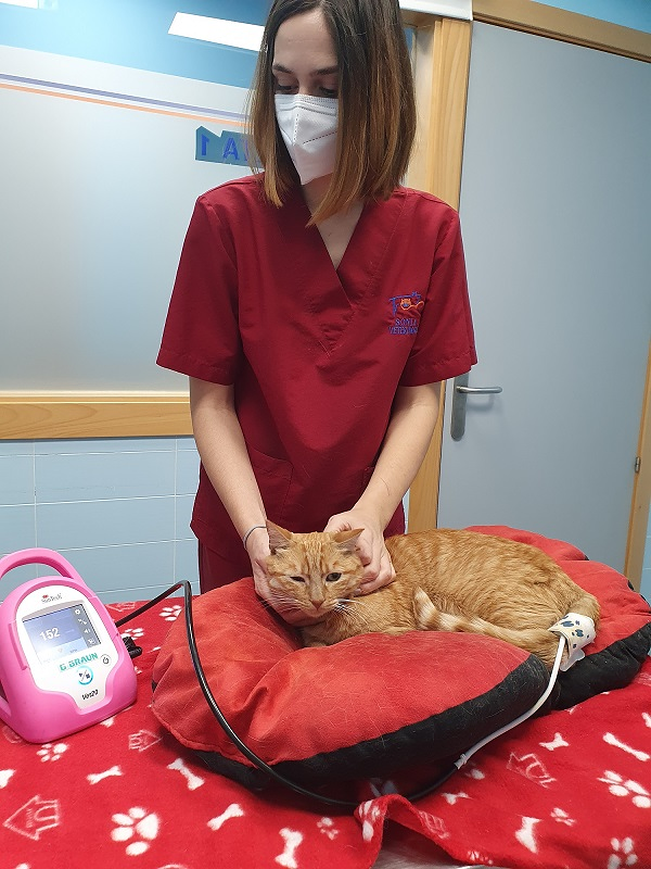 Clinica Veterinaria el Parque 15