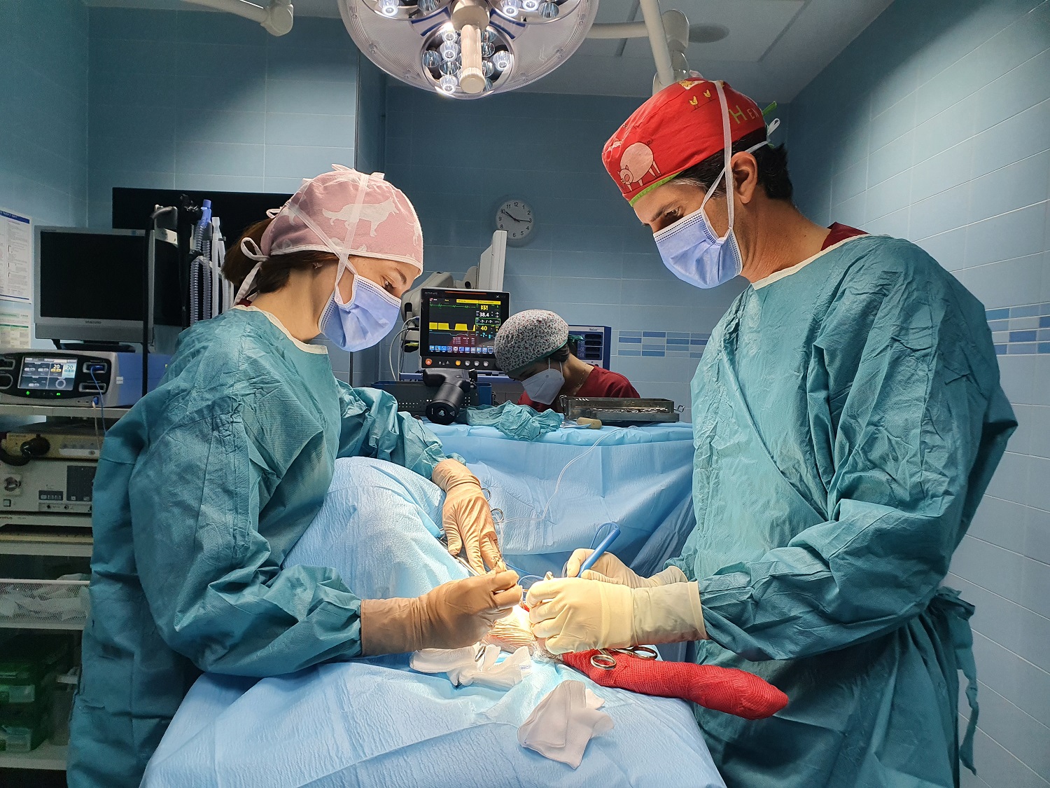 Clinica Veterinaria el Parque 8