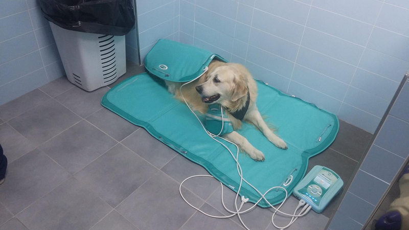 Clinica Veterinaria el Parque 2