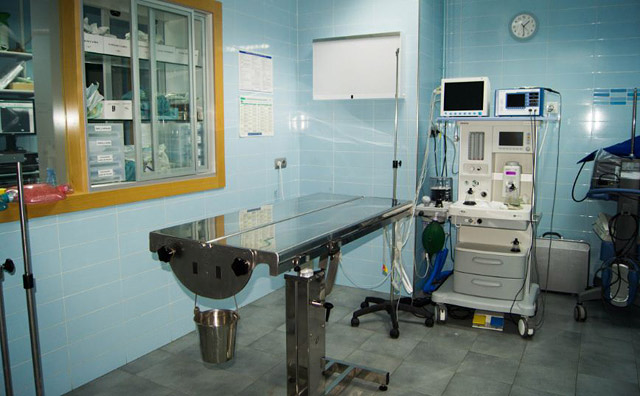 Clinica Veterinaria el Parque 31