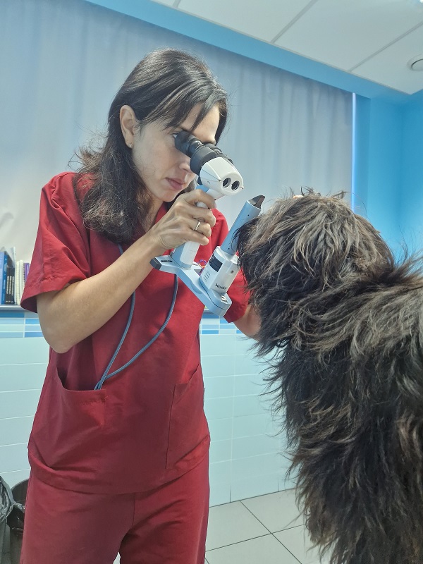 Clinica Veterinaria el Parque 18