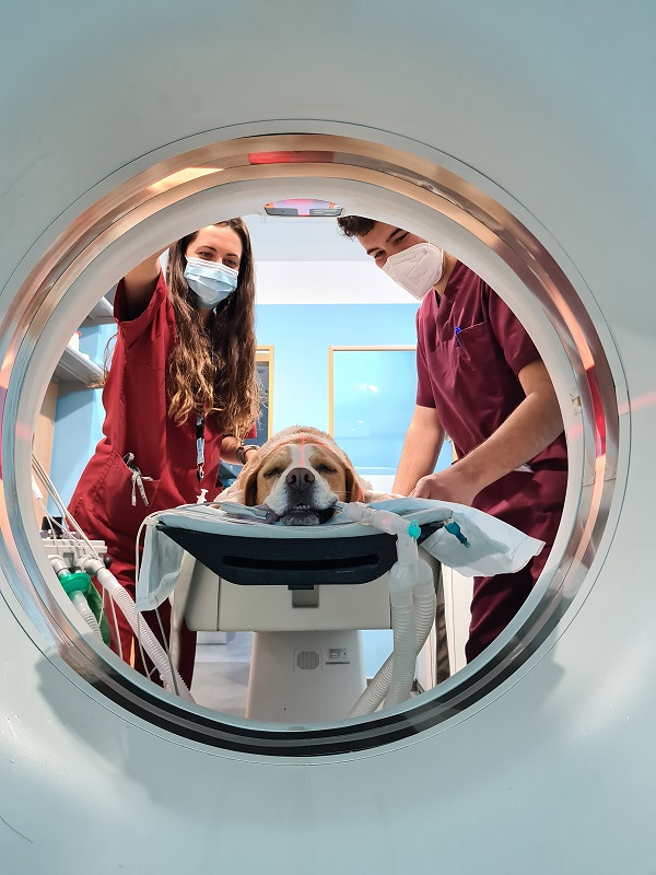 Clinica Veterinaria el Parque 19